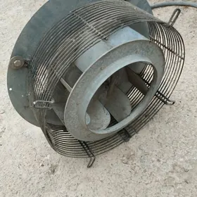 WITCKA DYMAHOT ULTKA