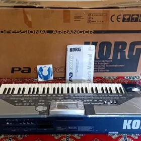 KORG PA 800