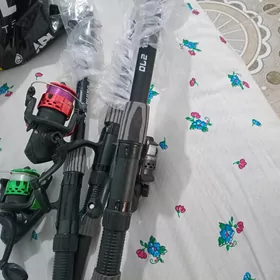 Spinnikler taze Okuma