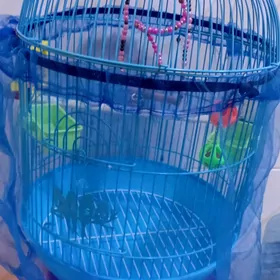 Клетка для попугая