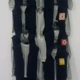 чага эшиклер