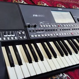 Korg pa600