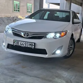 Toyota Camry 2013
