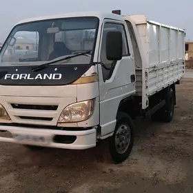 Forland H2 2008
