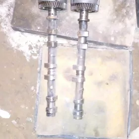 awalon 99 sapcastlary