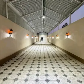 coganly plan jay satlyk