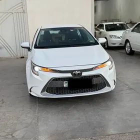 Toyota Corolla 2021