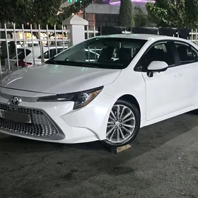 Toyota Corolla 2021