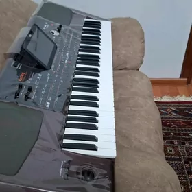 KORG PA 1000