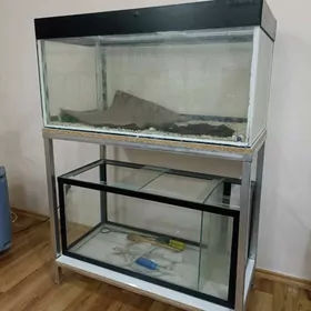 Аквариум 2 этж