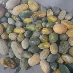 гавын малык