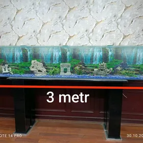 akwaryum