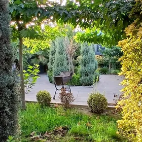 ☆ Arkac kotež 8-sotok amatly ☆