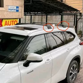 haylander highlander kryska