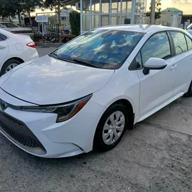Toyota Corolla 2020