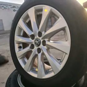 2018 Kemri disga R17