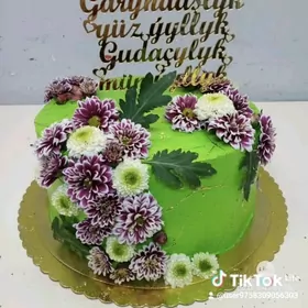 tort hyzmatyiş gerek