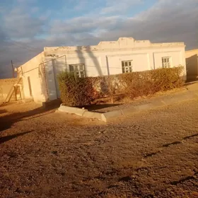 satlyk plan jay uglawoy