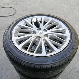 2018 radnoy disga pakrysga