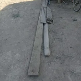 Agaçlar poluklar balka togalak