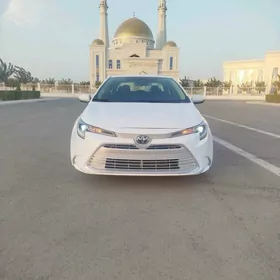 Toyota Corolla 2023