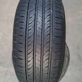 225,55,17 bir stuk bar