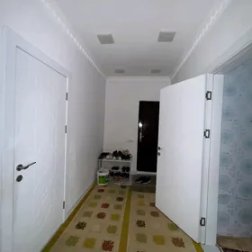 Buzmeyin Gress Ahal arkacka