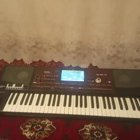 Korg pa 700Orentally.