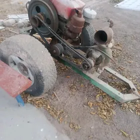 дук дук гасоз