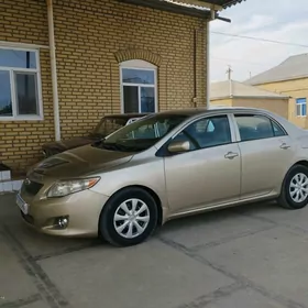 Toyota Corolla 2010