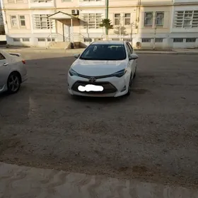 Toyota Corolla 2019