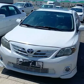 Taze zaman 1 tap. Oguzhan uniw