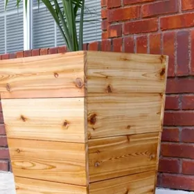 baglaryn gullerin dasy