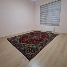 arenda 16 tapgyr swoboda