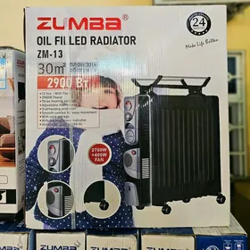 ZUMBA GAPYRGA PEÇKALAR 13F 15F