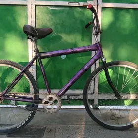 tigir тигир gyssagly uly 26lyk