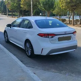 Toyota Corolla 2020