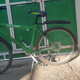 tigir gyssagly turkmenistan 26