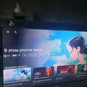 ТЕЛЕВИЗОР ВЕСТЕЛ