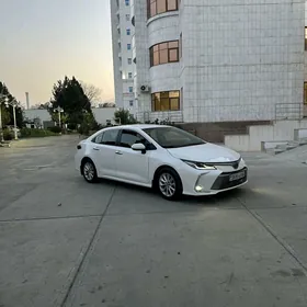 Toyota Corolla 2020