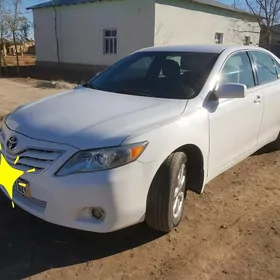 Toyota Camry 2010