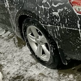 okuz kelle diska r 16