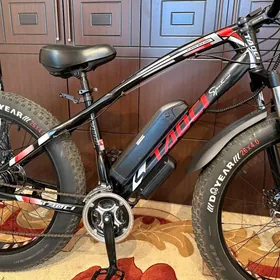 Tigir tokly/Велосипед електрич