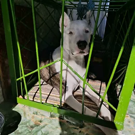 Ищу подругу