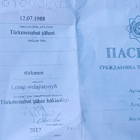 Pasport düşürdüm,yitirdim