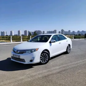 Toyota Camry 2013