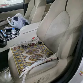 Haliji 2020 Camrynyn salony