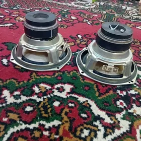 сони аргинал айдщи печат