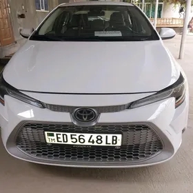 Toyota Corolla 2020