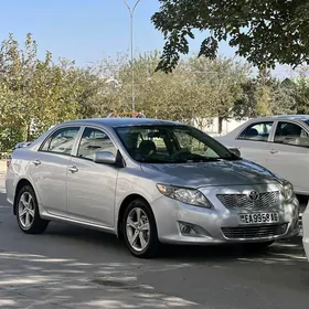 Toyota Corolla 2010